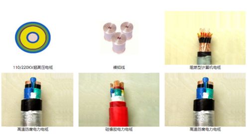 山東智造 綠色創(chuàng)新驚艷全球，環(huán)保產(chǎn)品引領(lǐng)未來(lái)市場(chǎng)